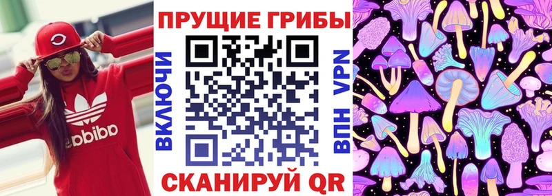 Псилоцибиновые грибы мицелий как найти Черногорск