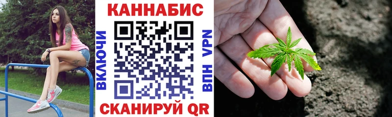купить наркоту  Черногорск  Бошки Шишки планчик 